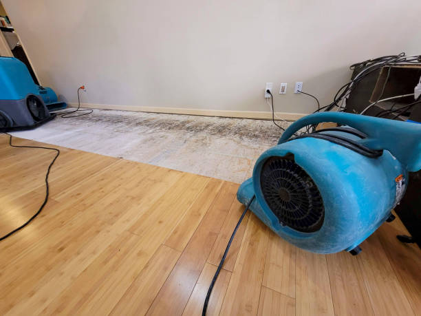 Professional Burst Pipe Water Damage technician working in Fenton, MI